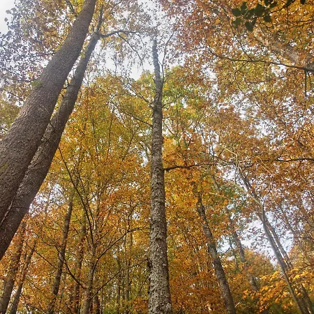 Centro De La Coruja Del Ebro Lejlighed