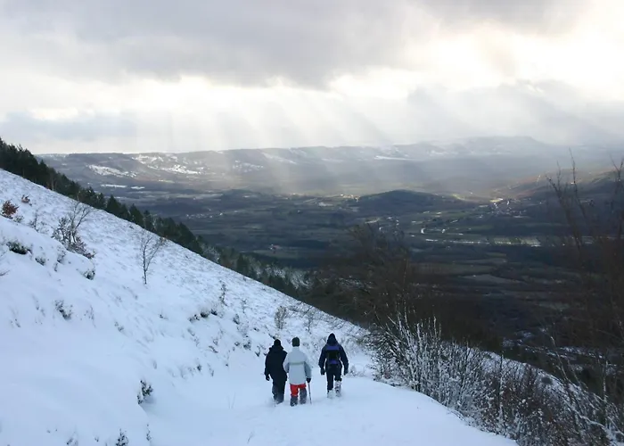 Centro De La Coruja Del Ebro Apartment