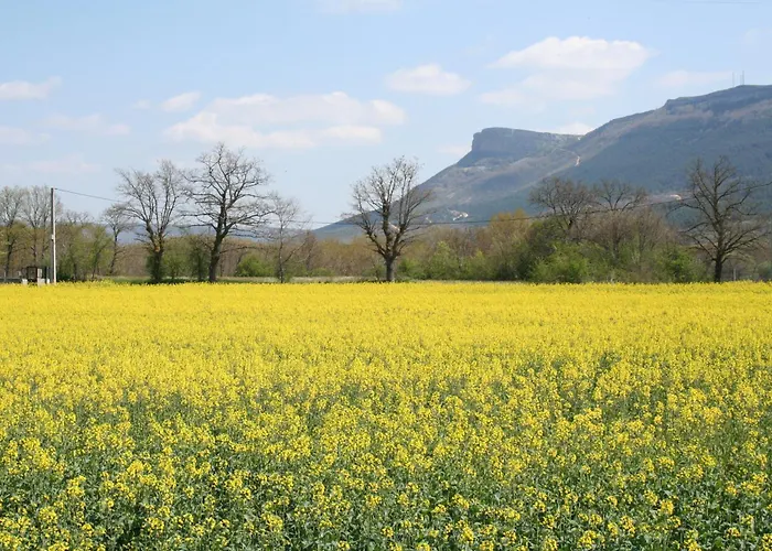 Centro De La Coruja Del Ebro Valderredible