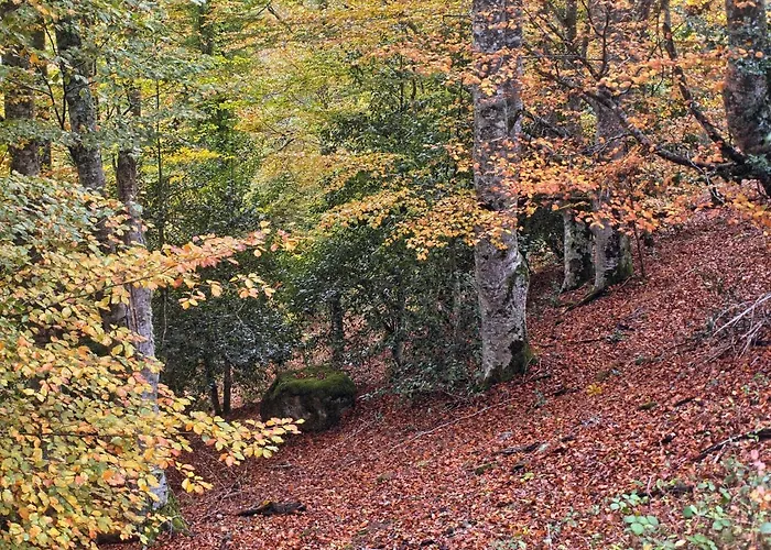 Centro De La Coruja Del Ebro Apartment