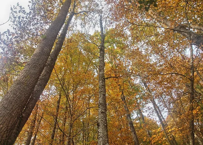 Centro De La Coruja Del Ebro Apartment